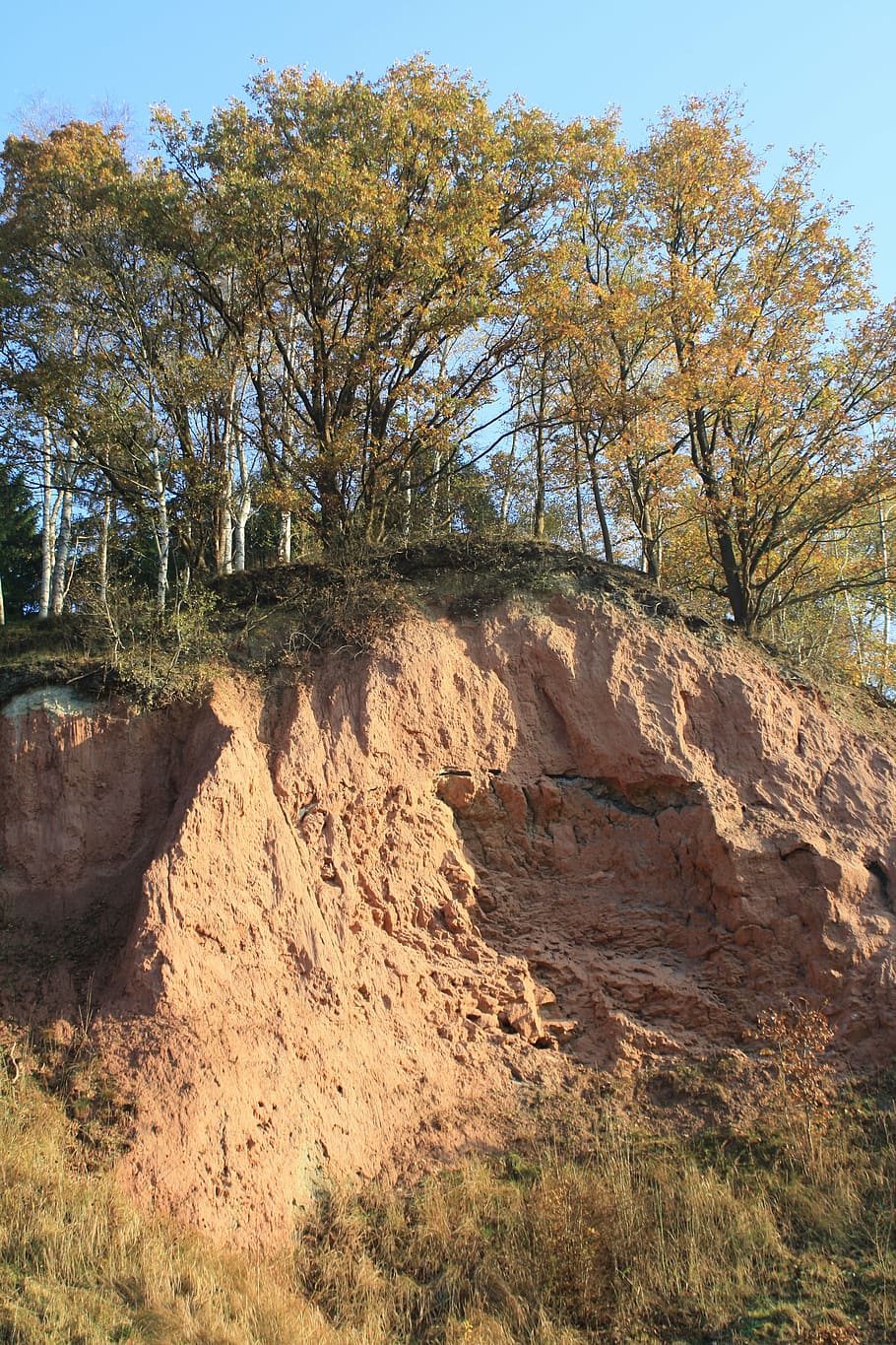 lieth, lime pit, cliff, slope, nature, tree, rock - Object HD wallpaper