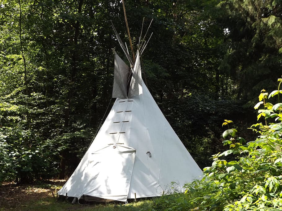 white tent in forest, tipi, nature, wild, summer, meadow, grass HD wallpaper