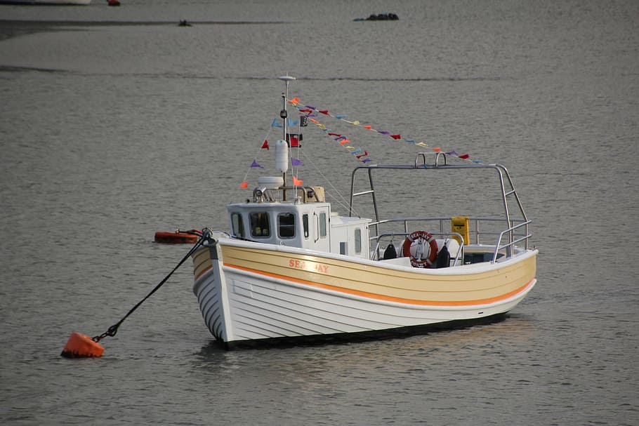 ship, boot, water, sea, wales, nautical vessel, mode of transportation HD wallpaper