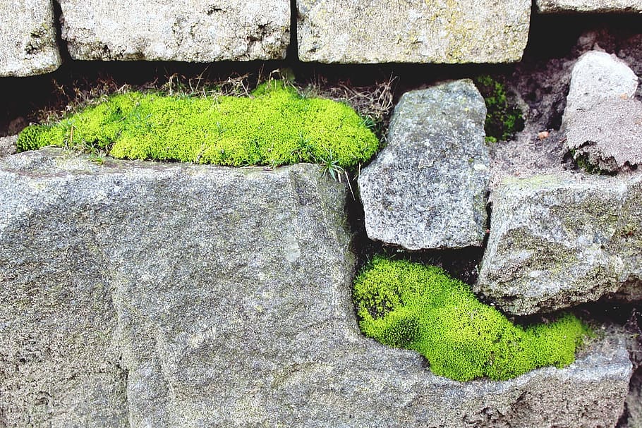 Stone, Stone, Stone Wall, Moss, background, natural stone wall HD wallpaper