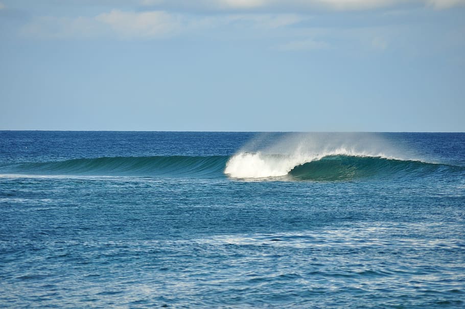 Wave, Surf, Beach, Active, sea, horizon over water, nature HD wallpaper
