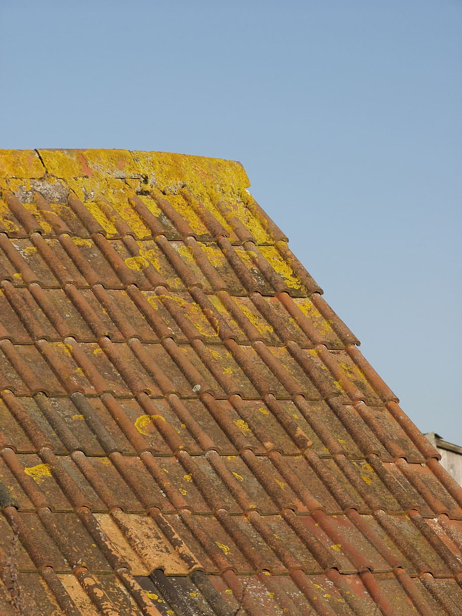 tiles, roof, architecture, pattern, building, sky, clear sky HD wallpaper