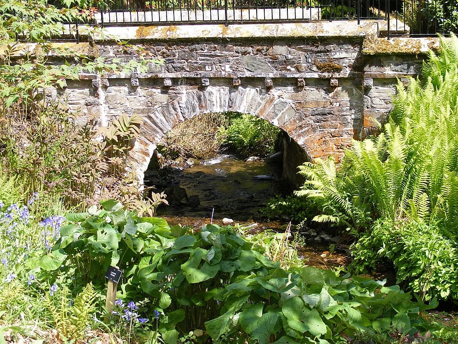 bridge, railings, stone, arch, vegetation, ferns, water, built structure HD wallpaper