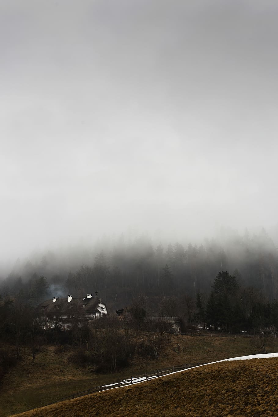 high-angle photo of white and brown house surrounded with trees and fogs, house near forest covered with fogs HD wallpaper