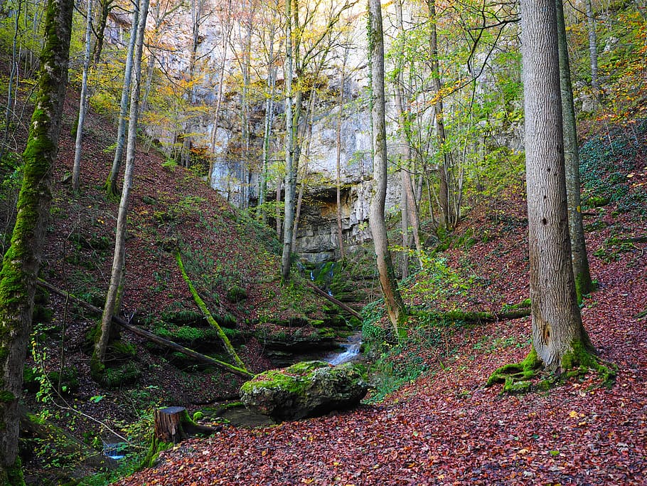 elsach, river, falkensteiner cave, baden württemberg, swabian alb, HD wallpaper