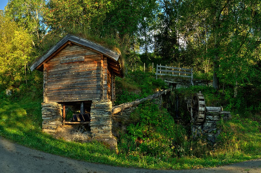 mill, watermill, waterwheel, built structure, plant, tree, architecture HD wallpaper