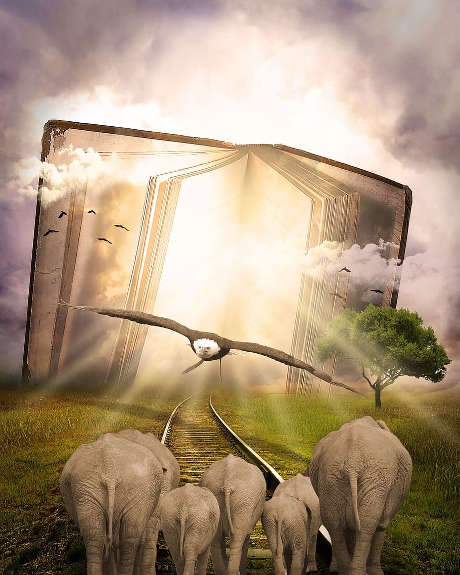 photo of eagle and elephants, fantasy, book, animals, nature HD wallpaper