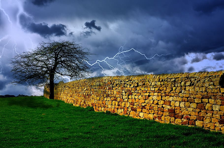 leafless tree beside wall, storm, sky, lightning, rain, weather HD wallpaper