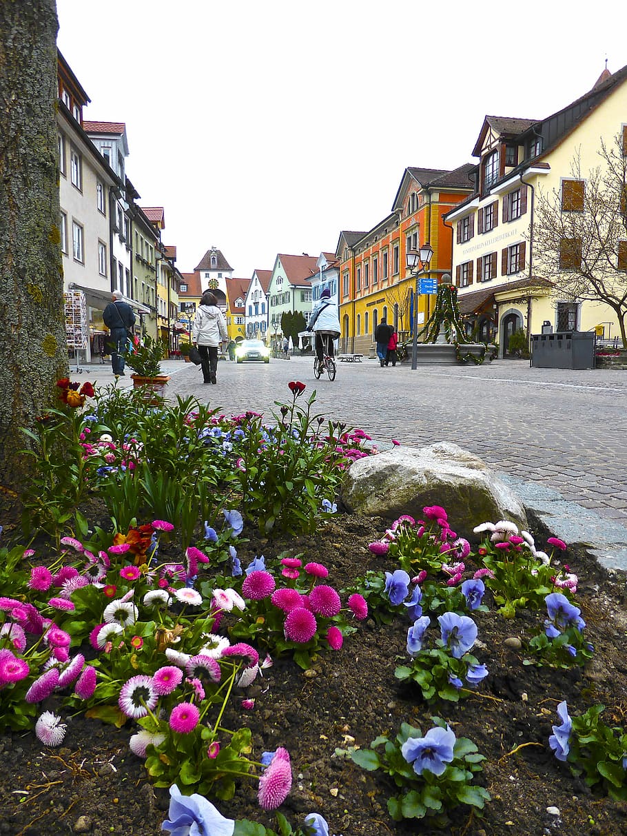 flowers, streetscape, view, architecture, buildings, building exterior HD wallpaper