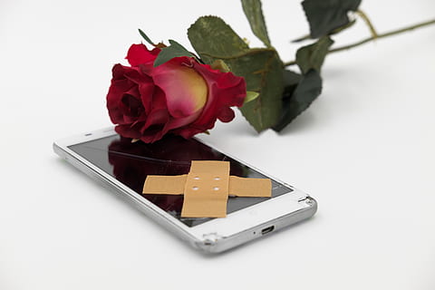patch, association, rose, flower, blossom, bloom, farewell HD wallpaper