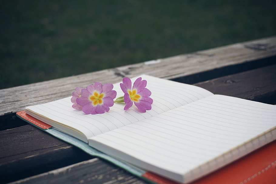 three purple petaled flowers on witting notebook, bench, pen HD wallpaper