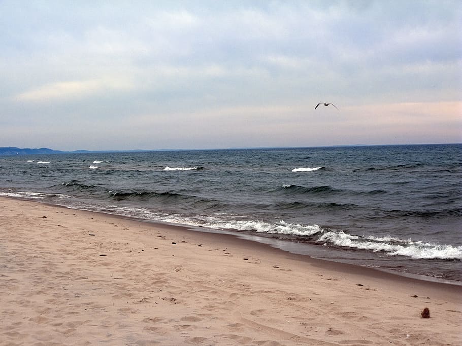 lake, sand, beach, sky, sea, water, land, animal, vertebrate HD wallpaper