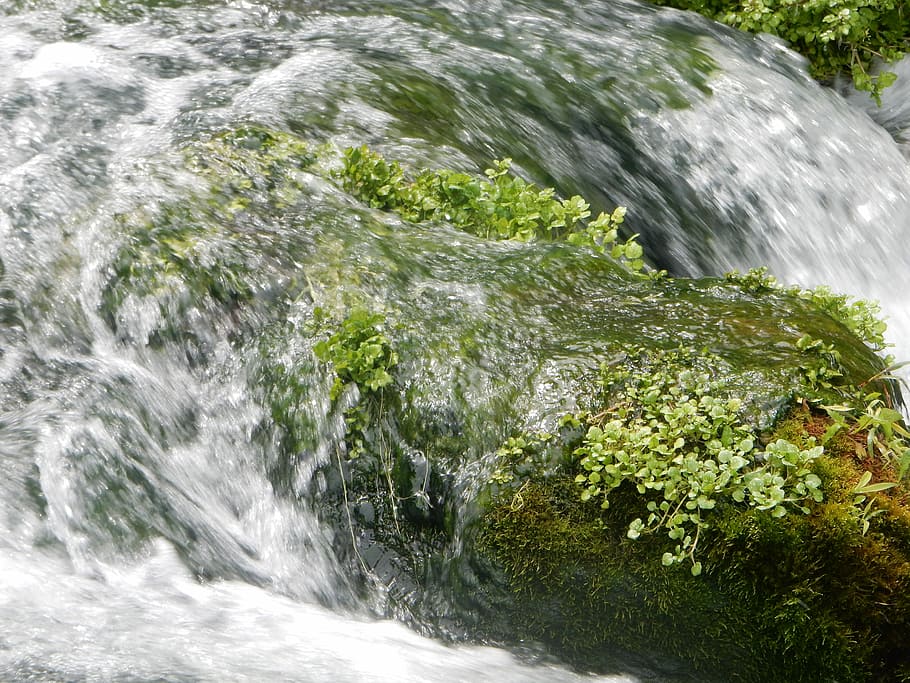 Water, Rock, Moss, Stone, Nature, scenery, waterfall, no people HD wallpaper