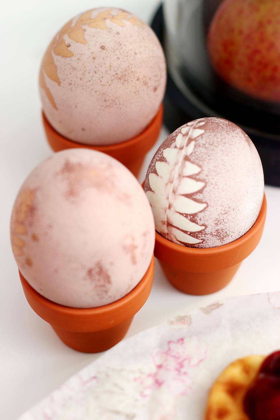 Coloring Easter Eggs, three beige eggs in palstic holders, fern, HD wallpaper