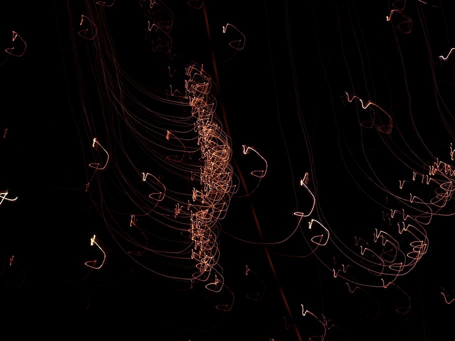 Firework, Night, Light, Dark, Bonfire, thanksgiving, celebrate HD wallpaper