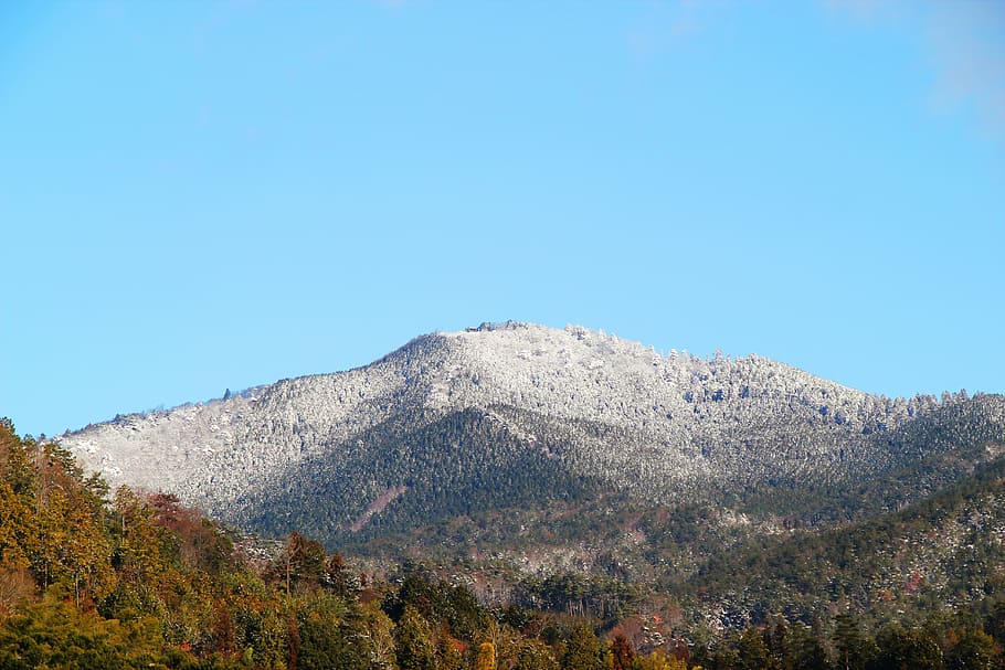 mountain, snow, winter, white, sky, green, sunny, japan, blue sky HD wallpaper