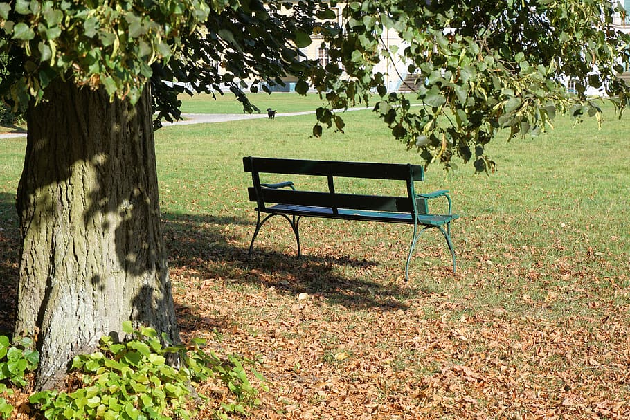 Bank, Rest, Tree, Sit, park bench, recovery, seat, nature, autumn, HD wallpaper
