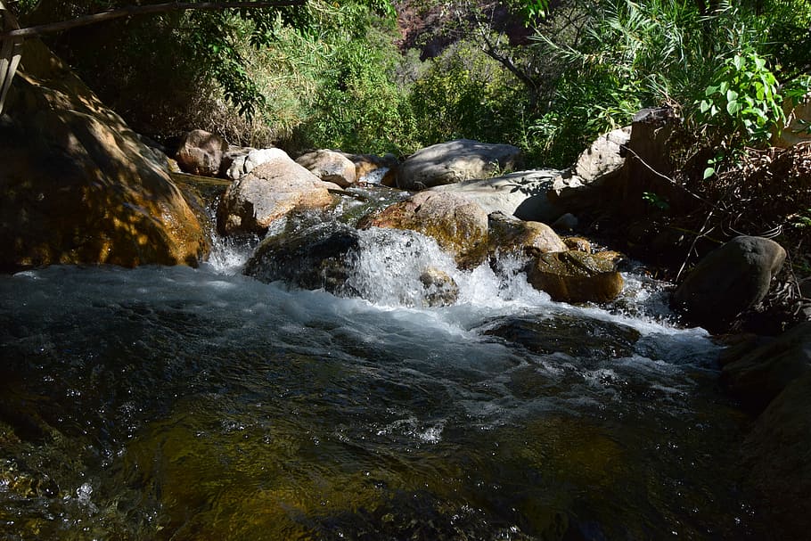 River, Creek, brook, waterfall, nature, no people, forest, flowing water HD wallpaper