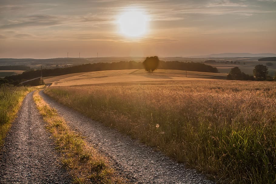 Summer, Sun, Landscape, Nature, sky, field, sunset, tranquil scene HD wallpaper