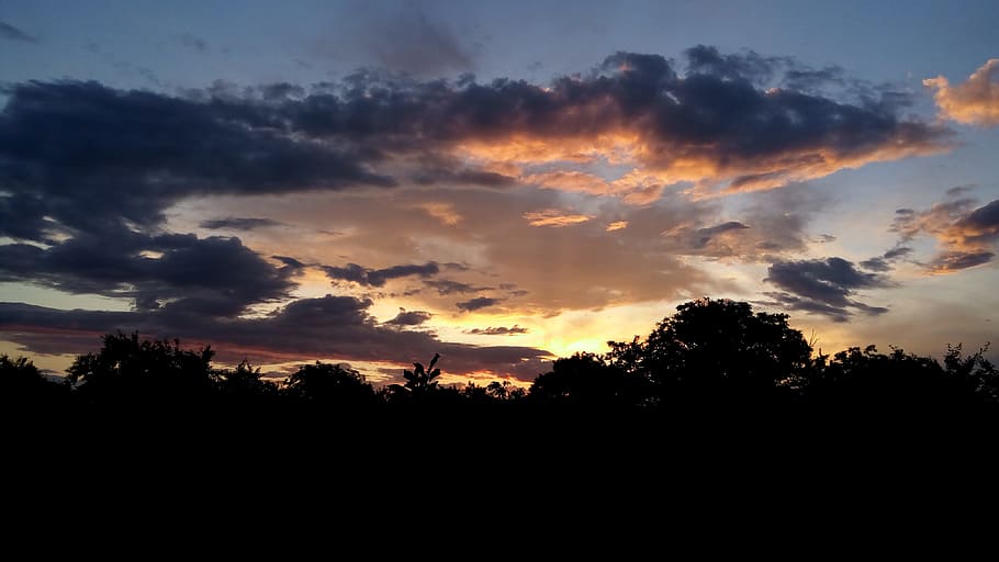 Black Forest Under Cloudy Sky during Sunset, clouds, dawn, dusk HD wallpaper