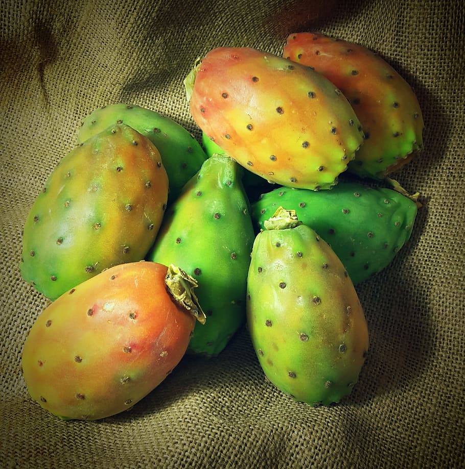 prickly pear, cactus fruit, healthy eating, wellbeing, indoors HD wallpaper