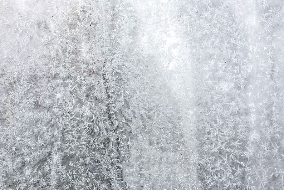 Frosty background, winter, cold, ice, backgrounds, snow, abstract HD wallpaper