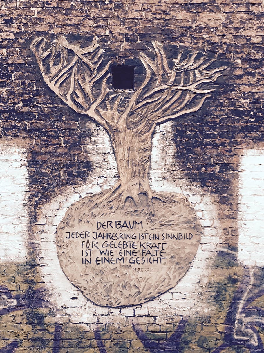 tree, stone wall, saying, text, western script, communication HD wallpaper