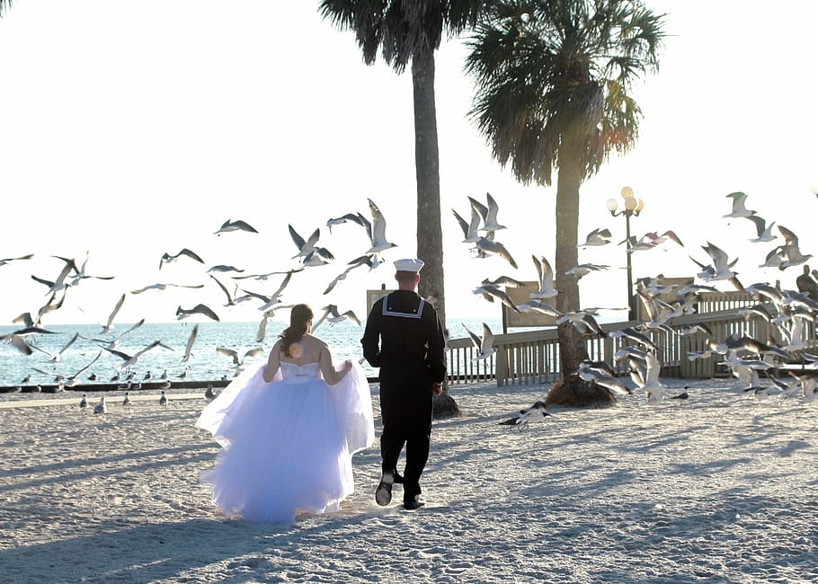 Wedding, Beach, Run, beach wedding, bride, groom, marriage HD wallpaper