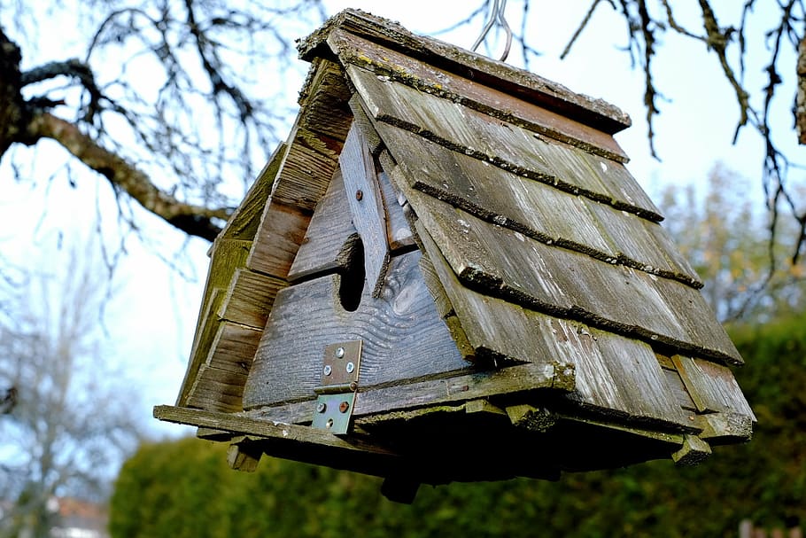 brown and gray wooden bird house, aviary, feeding place, vacation, HD wallpaper