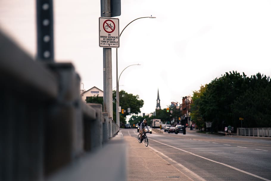 person riding bicycle on road near vehicles at daytime, white bicycle signage on post HD wallpaper