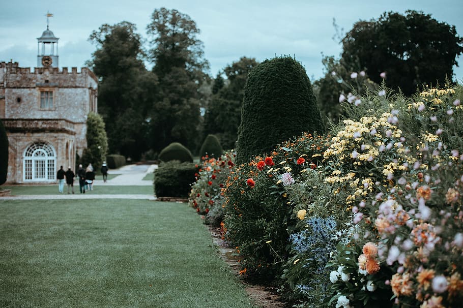 Forde Abbey, person walking on green grass field during daytime HD wallpaper