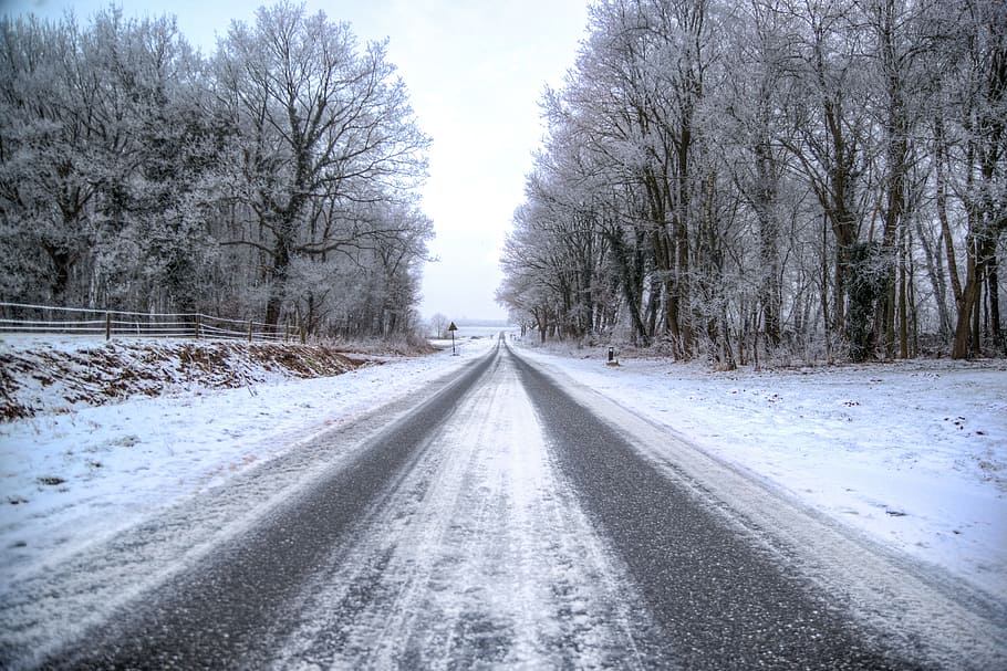 Winter, Road, Cold, Freeze, Snow, Nature, landscape, forest HD wallpaper