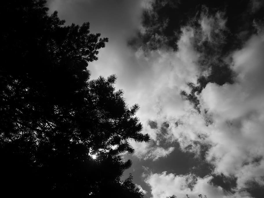 Sky, Black And White, Landscape, Clouds, nature, cloud - Sky HD wallpaper