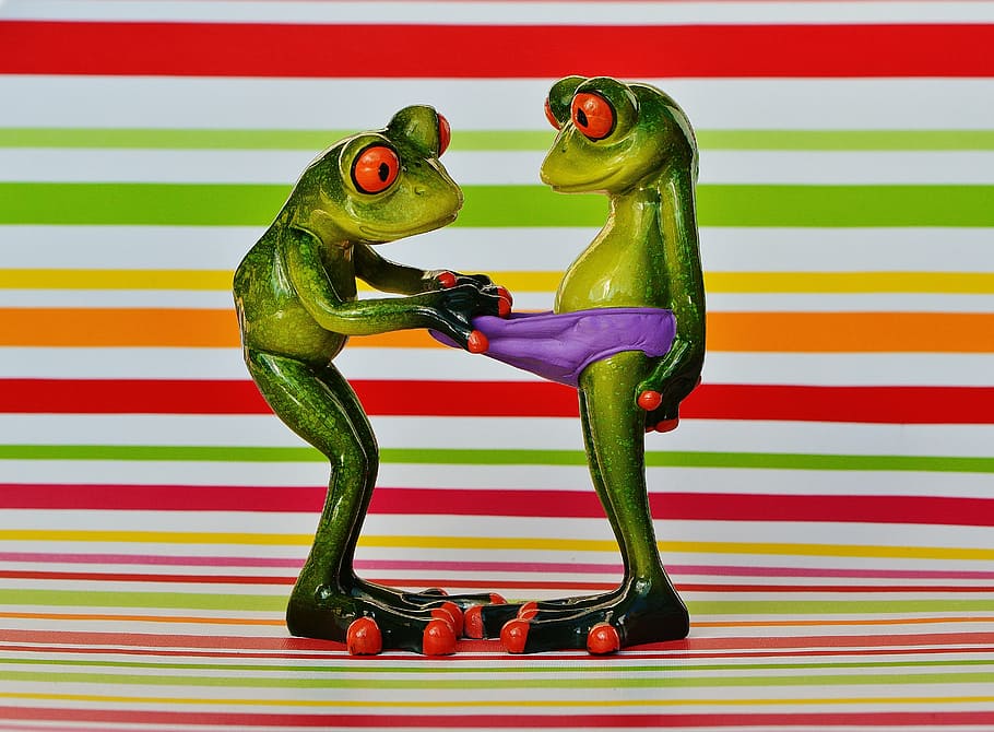 frogs, curious, funny, figures, cute, underpants, look, curiosity HD wallpaper