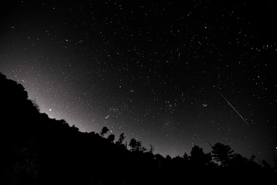 silhouette of trees during nighttime, lowlight photography of stars on sky HD wallpaper