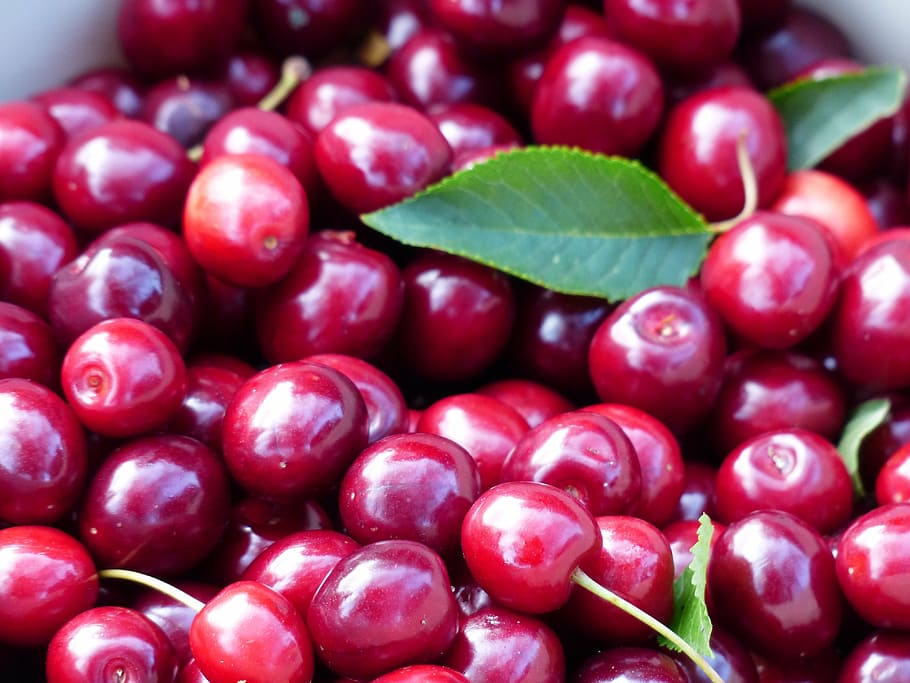 close-up photo of red cherries, cherry, sweet cherry, fruit HD wallpaper