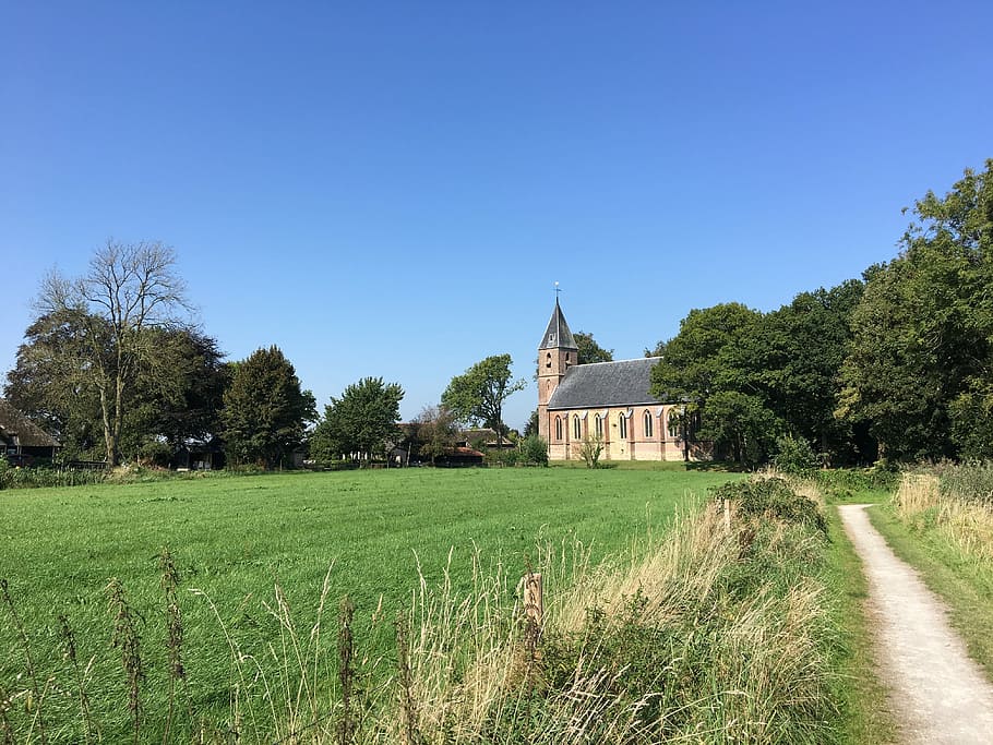 Ruinerwold, Church, Fields, tree, rural scene, house, farm HD wallpaper