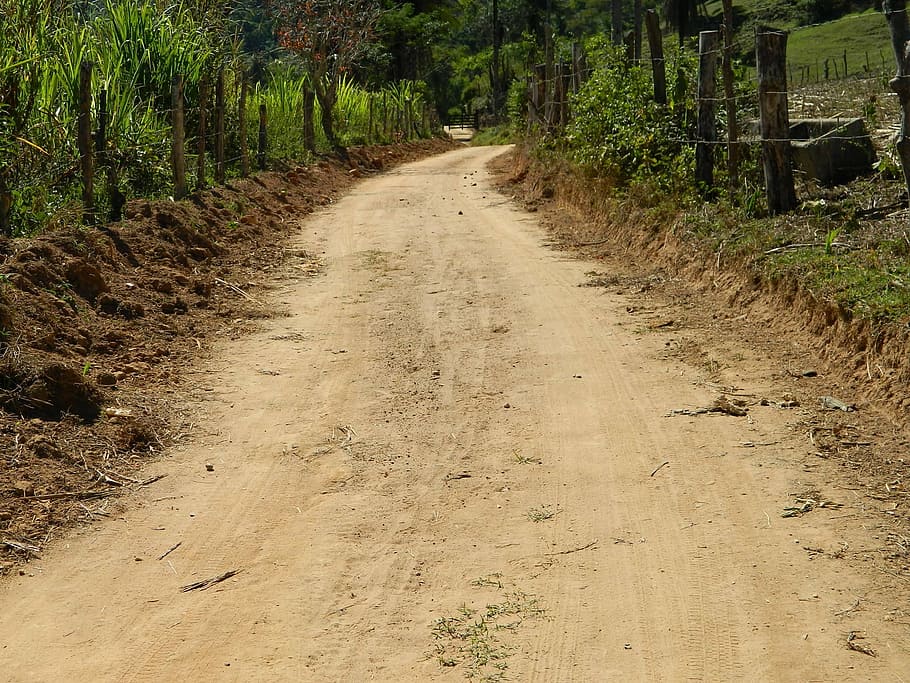 ground road, interior, nothing, place, direction, plant, the way forward HD wallpaper