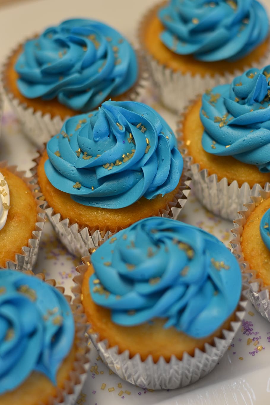 shift-tilt photography of cupcakes with blue icings, dessert, HD wallpaper