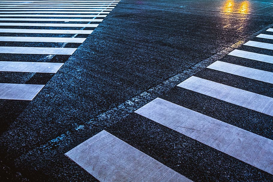 white and black street line photo, white and black Pedestrian Lane during rainy day HD wallpaper
