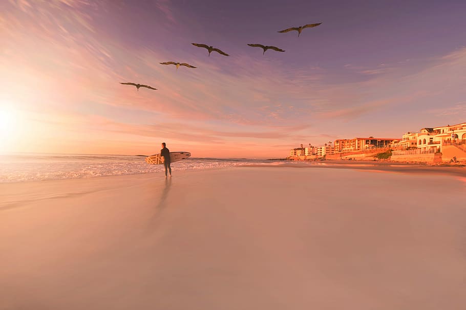 person standing in seashore with birds flying in sky, person walking on seashore