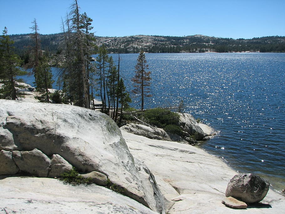 Lake, Mountain, Mountain, Pine, Pine Tree, Shore, water, nature HD wallpaper
