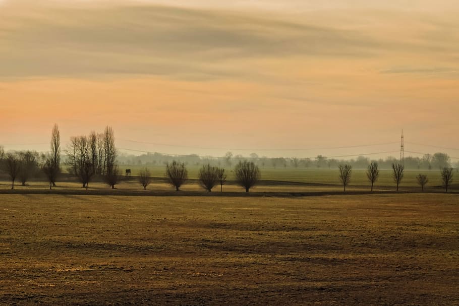 Sunrise, Trees, Fields, Landscape, Skies, tranquility, agriculture HD wallpaper