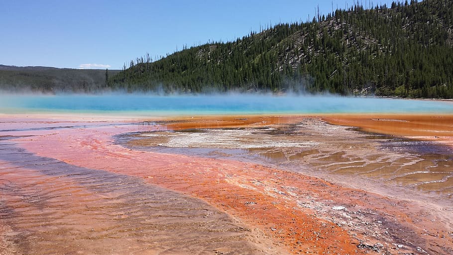 Grand, Prismatic, Spring, Yellowstone, nature, water, geyser HD wallpaper