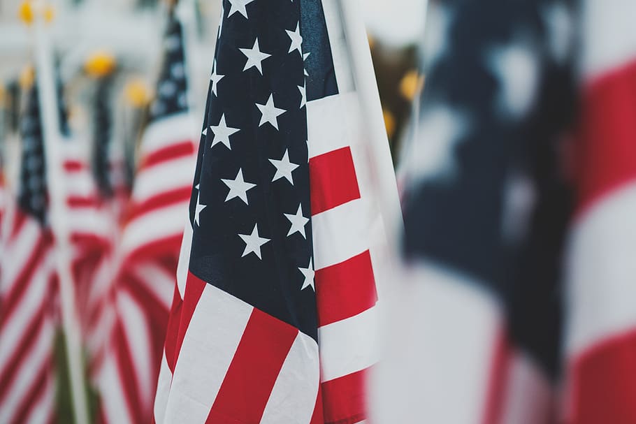 closeup photo of U.S.A. flag, American Flags during daytime, star