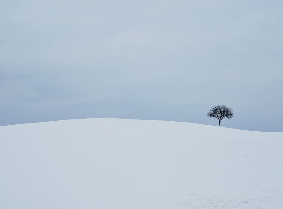 snowy hill, Winter, White, Tree, Background, Nature, cold temperature HD wallpaper