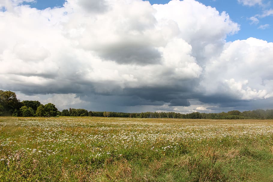 landscape, view, space, nature, poland, sky, clouds, field HD wallpaper