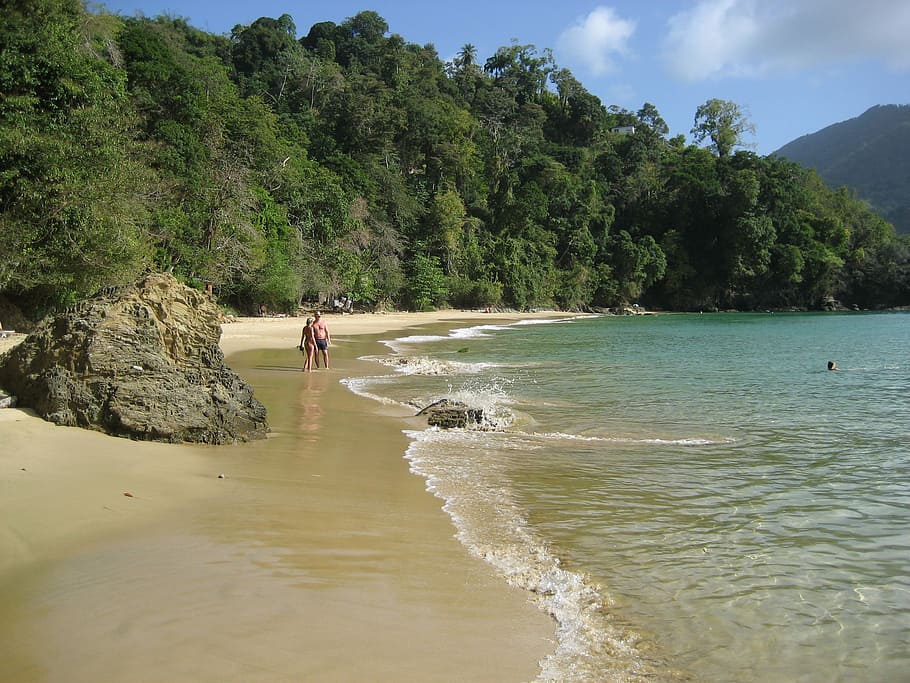 Tobago, Beach, Caribbean, Sea, Leasure, relax, travel, destination, HD wallpaper