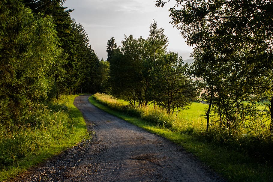 path, nature, country, trees, slovakia, forest, the landscape HD wallpaper