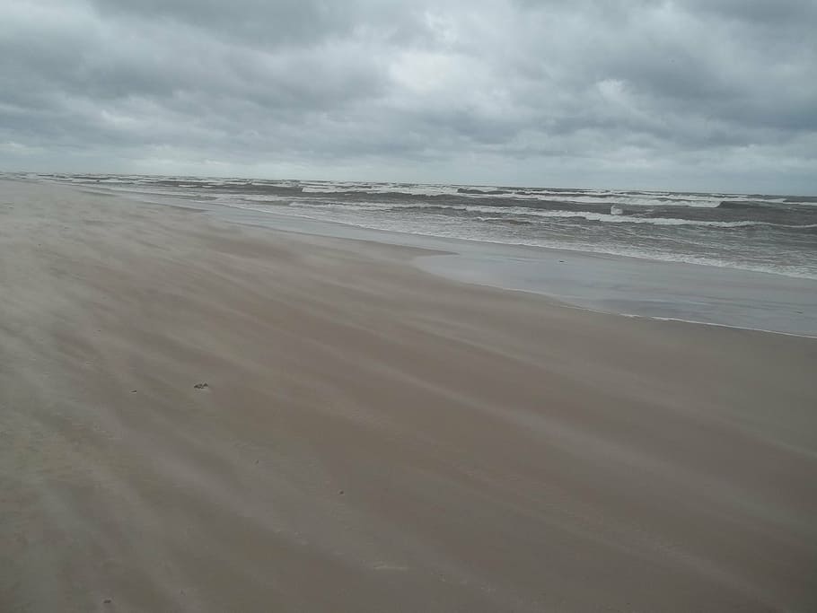 clouds, storm, the baltic sea, wind, land, beach, sand, sky HD wallpaper